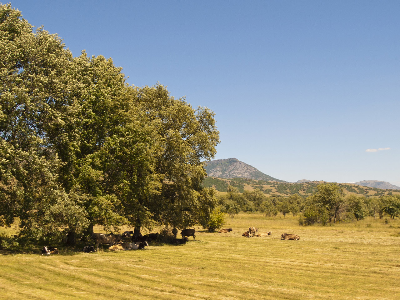 Prilep Field (Photo license: CC BY-NC 2.0)